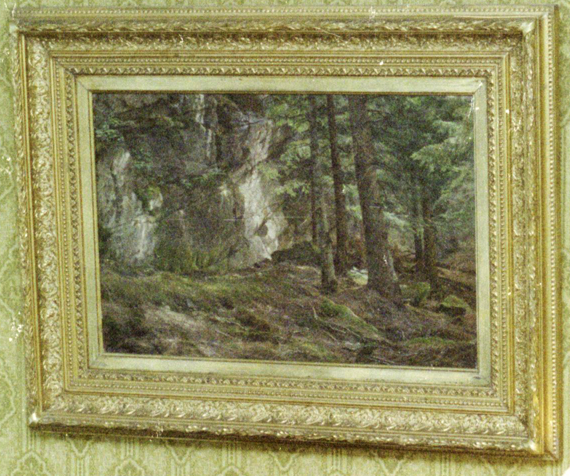 MT_646_A_berndt lindholm metsa maisema2
